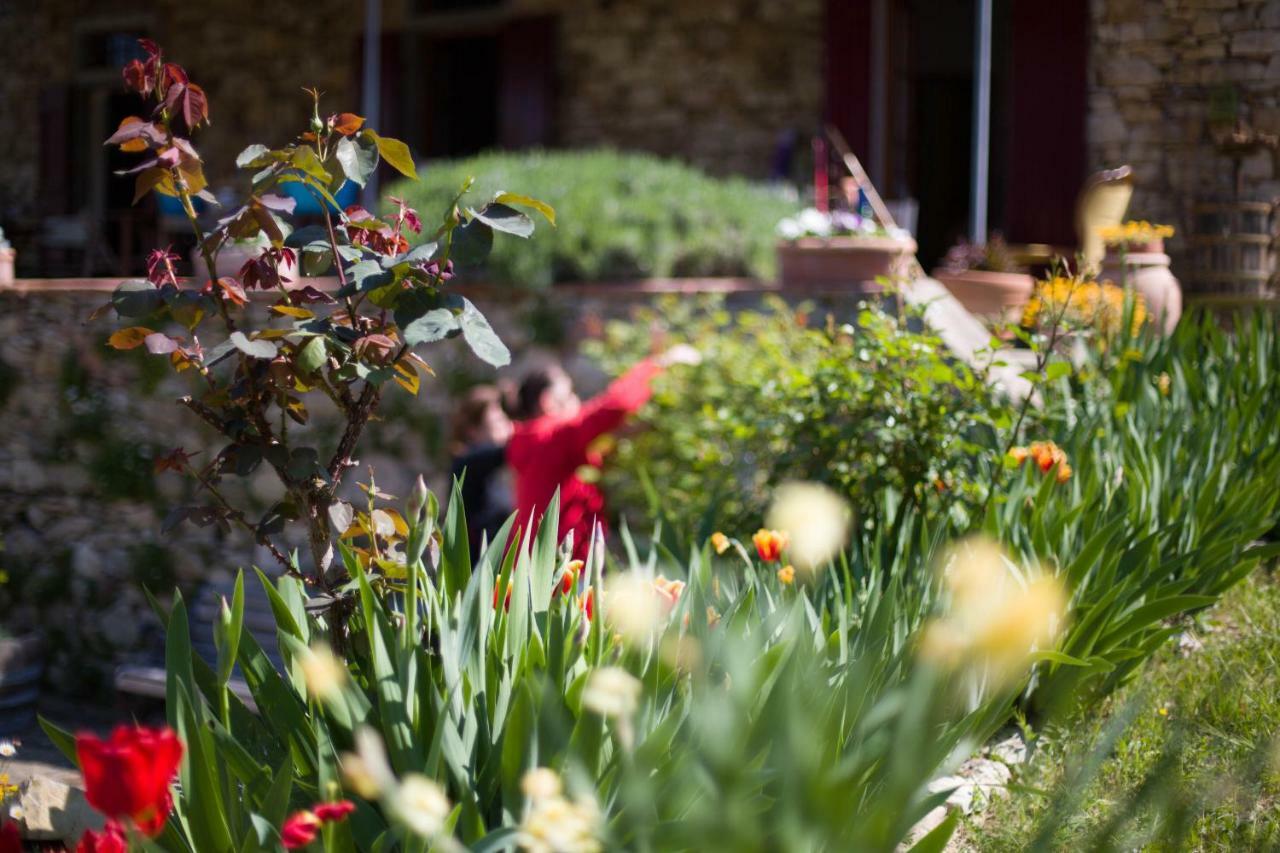 Bed and Breakfast Ancora Del Chianti Greve in Chianti Exterior foto